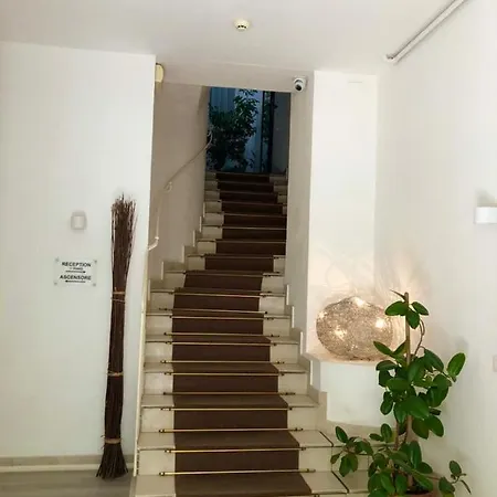 Arcadia Ματσεράτα